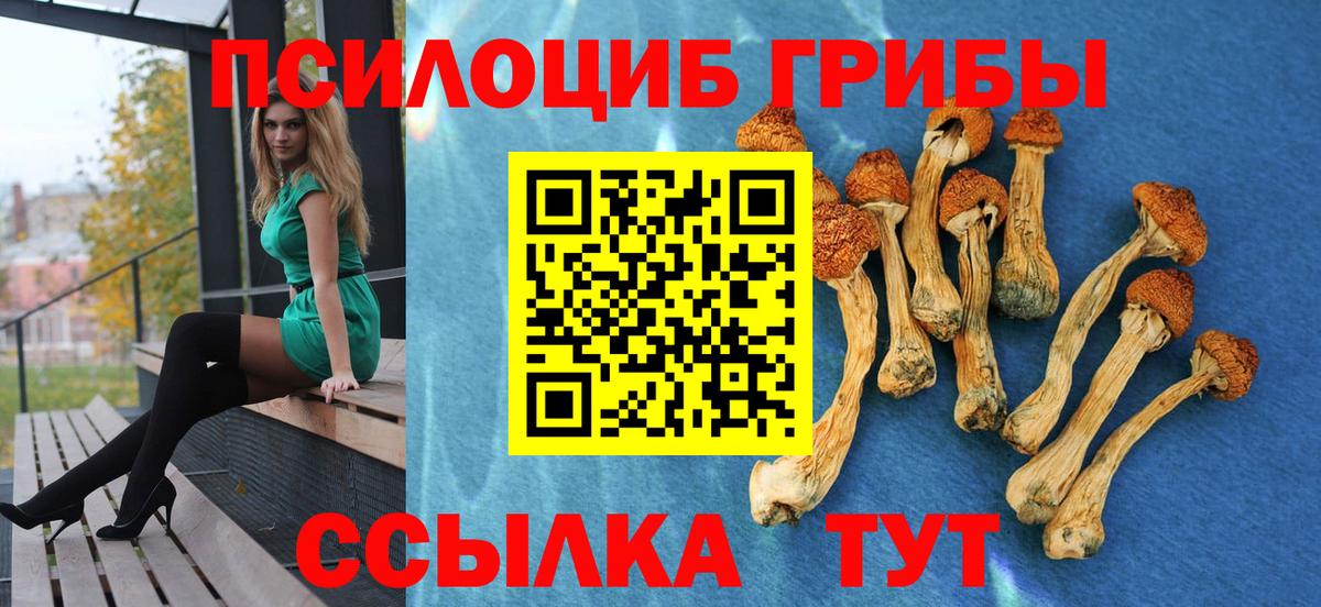 Псилоцибиновые грибы GOLDEN TEACHER  Вход с VPN  Омск 